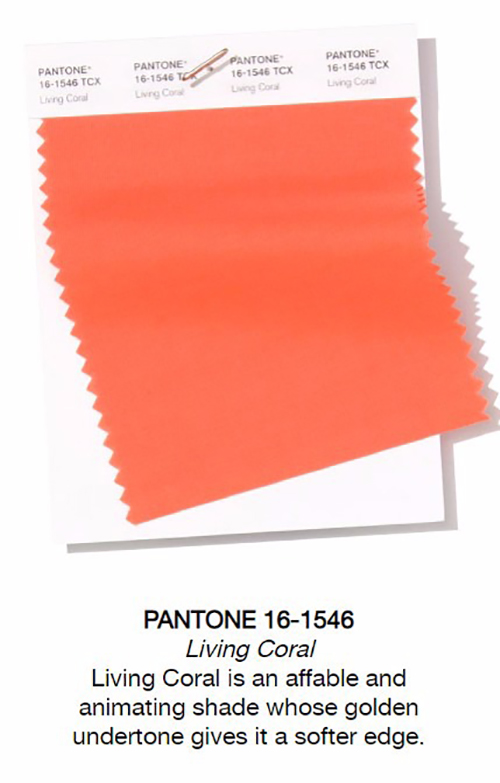 Nem todo mundo sabe, mas a Pantone elege uma cor para representar cada ano. Para o próximo ano, 12 cores estão na disputa ao prêmio Pantone 2019. 